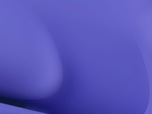 模型剪枝案例分享：他们是怎么做到的